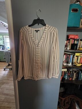 Roz & Ali Cream Blouse with Black Stripes